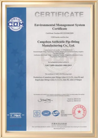 Environmental Management System Certification